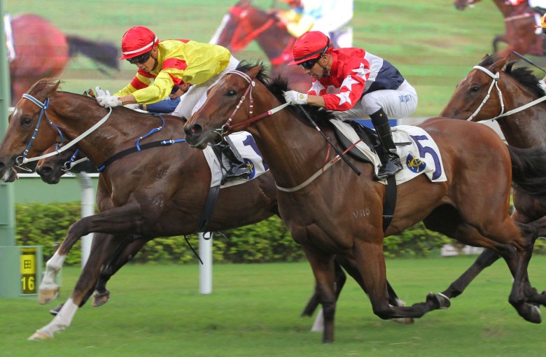 Twin Delight stuns his rivals to win last start. Photos: Kenneth Chan