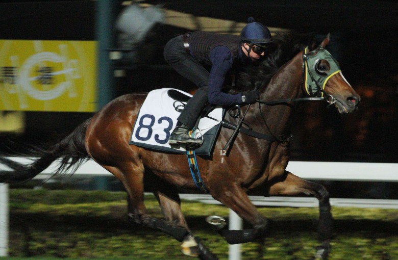 Sam Clipperton gallops Werther on Tuesday on the turf at Sha Tin. He will ride the reigning horse of the year in Monday’s Stewards’ Cup. Photos: Kenneth Chan.