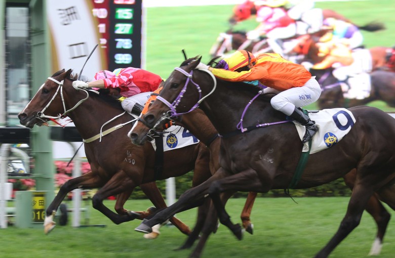 Everest is just edged out by Regency Bo Bo back in December, the four-year-old now returns to the Valley and steps up to 1,650m. Photos: Kenneth Chan