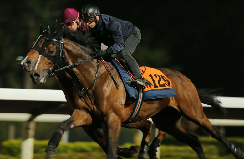 John Moore says his French import Helene Charisma is adapting quickly at Sha Tin. Photos: Kenneth Chan