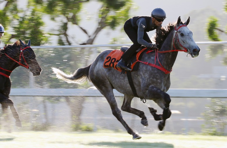 The five-year-old was a gusty second at the final race of last season and although he faces some smart rivals on Sunday, a good draw can see him go one better
