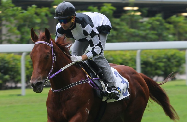 Joao Moreira rides Master Albert to a barrier trial victory at Happy Valley. Photo: Kenneth Chan