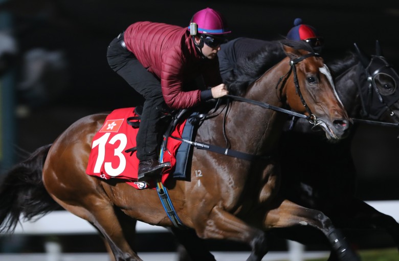 Tommy Berry puts Werther through his paces. Photos: Kenneth Chan