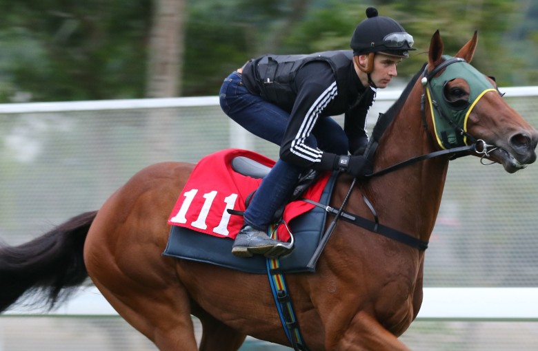 Sam Clipperton rides Grand Chancellor at trackwork on December 14. Photo: Kenneth Chan