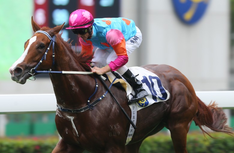 Zac Purton guides Handsome Bo Bo to victory at Sha Tin on Saturday. Photo: Kenneth Chan