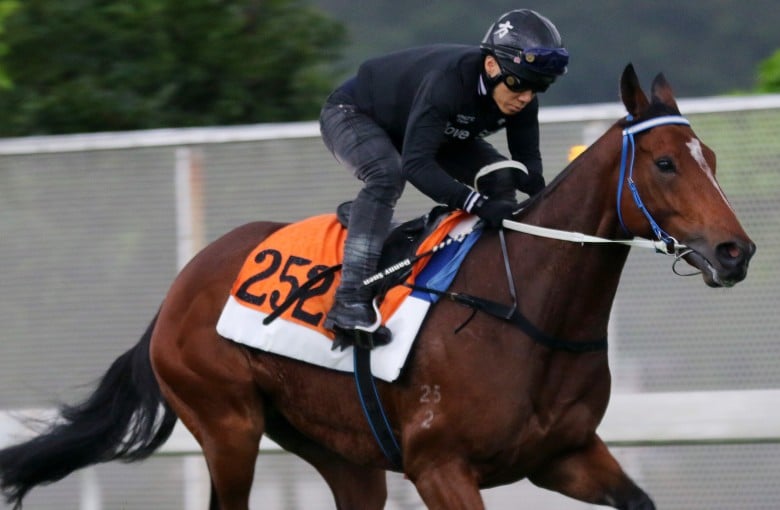 Southern Legend gallops on the turf at Sha Tin on Thursday morning. Photos: Kenneth Chan