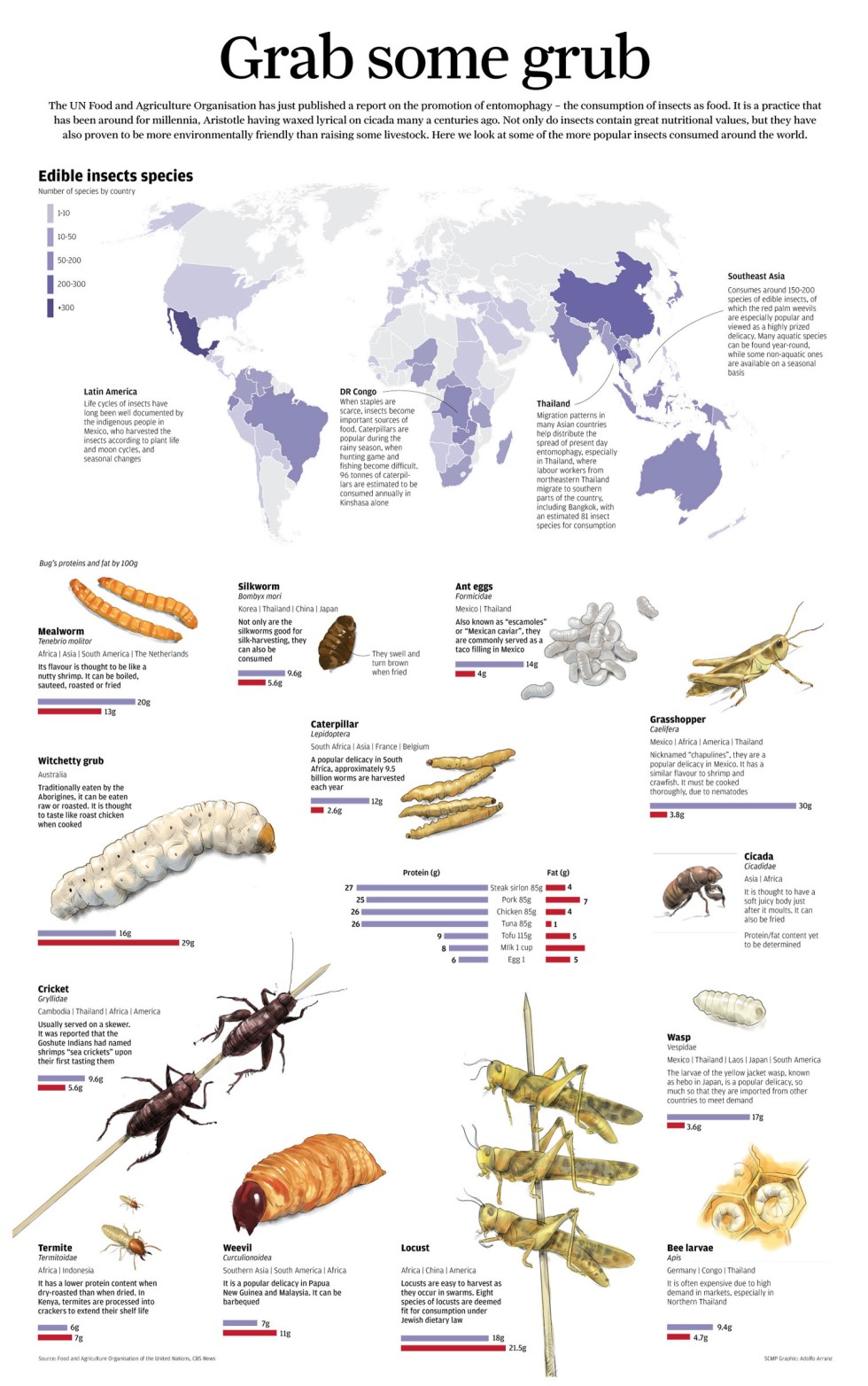 entomophagy-the-consumption-of-insects-as-food-south-china-morning-post