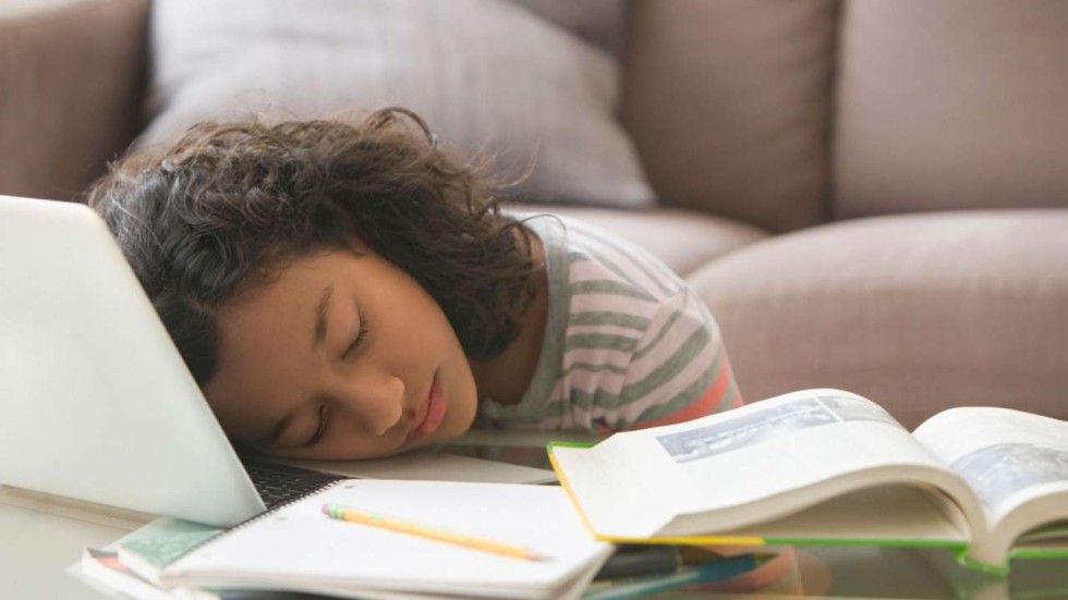 Average class size in hong kong picture