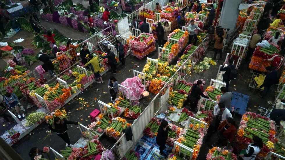 The giant Chinese flower market aiming to be a blooming world wonder