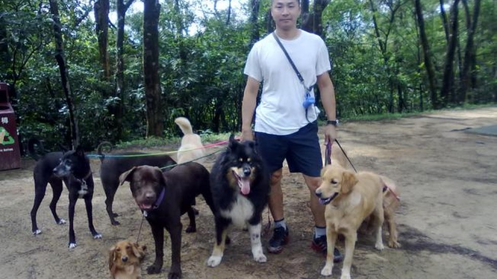 In The Luxury Dog House South China Morning Post