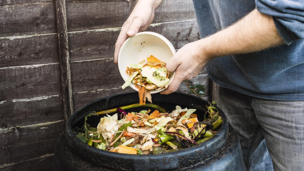 Don't waste food! Make compost!