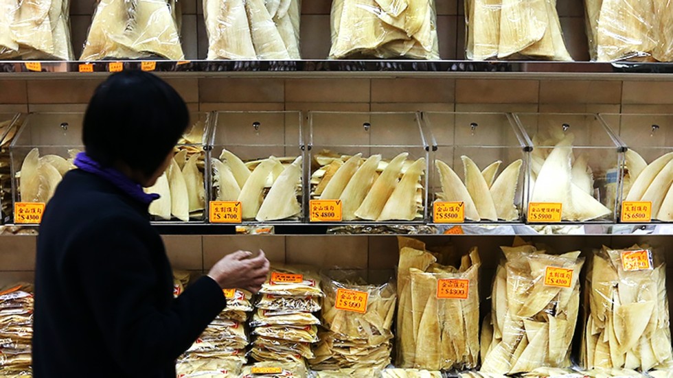 Shark Fin Soup Still Served At 98 Per Cent Of Hong Kong Restaurants Sarah Karacs