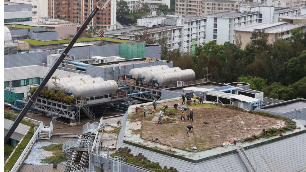 Neighbouring rooftop garden dismantled after City U roof collapse injures three | South China ...