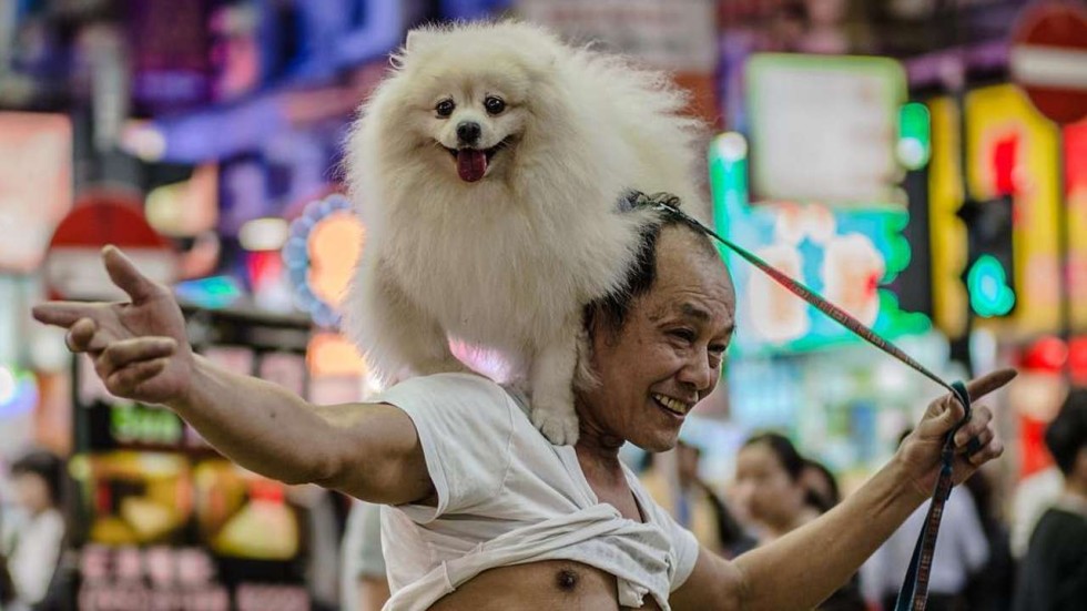 America Past And Present 7th Edition Ap Outlines For Research