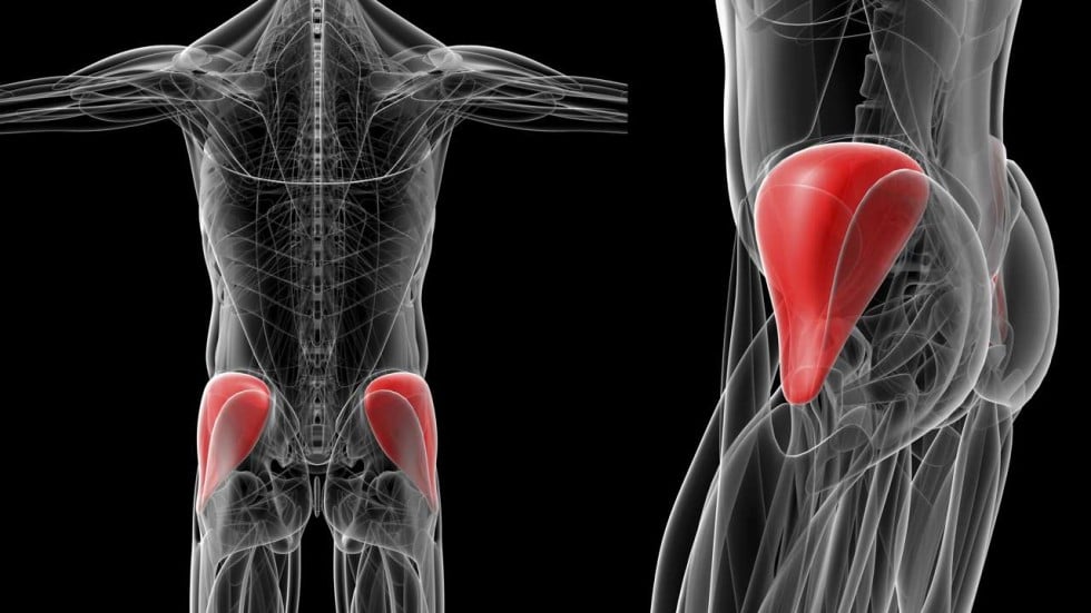 How To Have A Sexy Butt And Stay Young – Work The Gluteus Medius