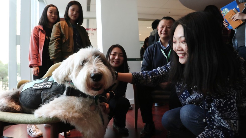 Therapy dog scheme a welcome initiative on animal welfare in Hong Kong