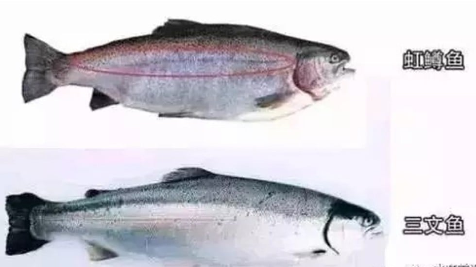 Backlash after state media reveals ‘imported’ salmon in China is