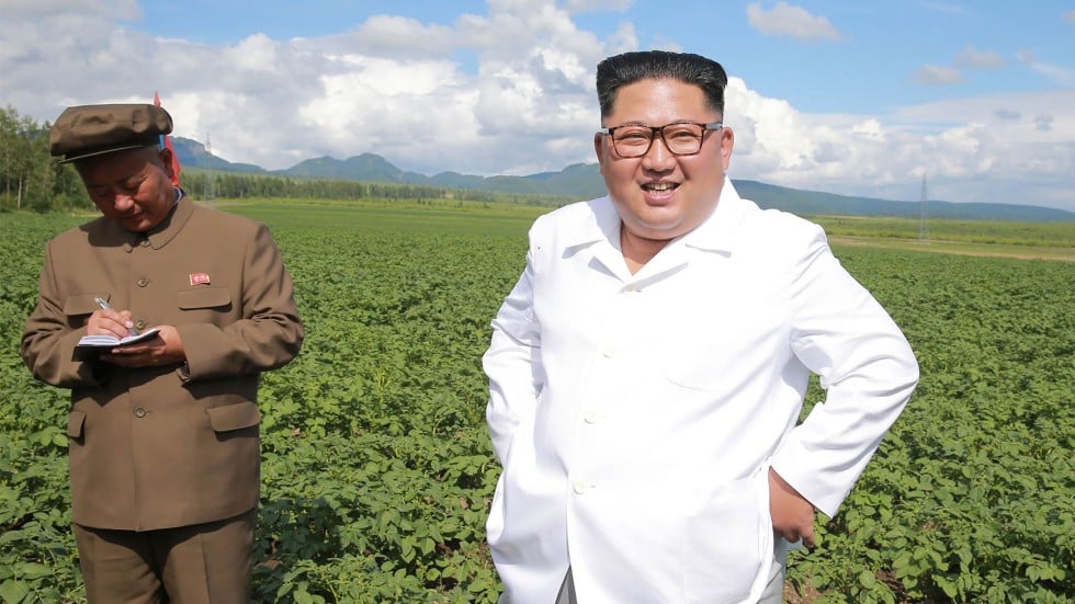 Image result for kim jong un on potato farm