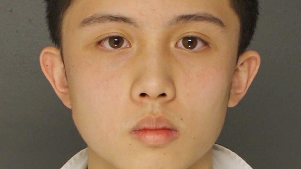 taiwanese exchange student in us pleads guilty to firearm charge