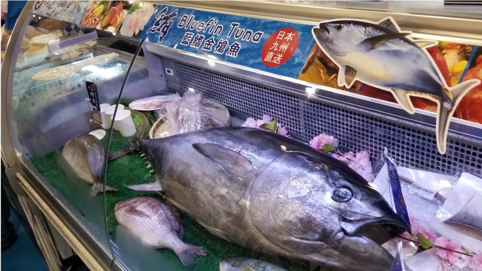 Sale of bluefin tuna that’s critically endangered at Hong Kong expo