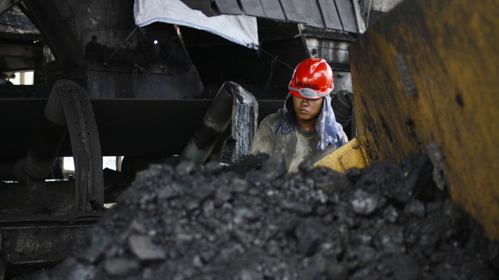 The seaport is expected to handle vast amounts of coal and other natural resources. Image: Reuters