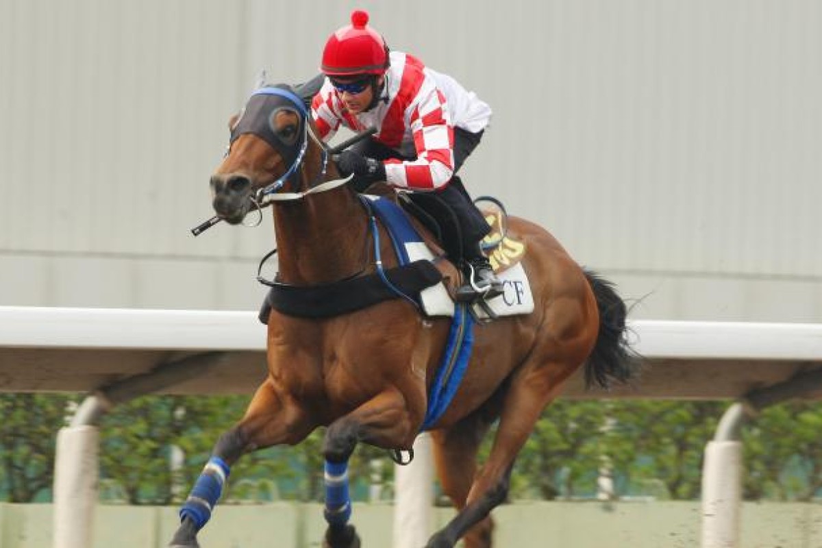 Lucky Nine finishes a strong trial for Brett Prebble and will leave this morning for the Sprinters Stakes in Japan. Photo: Kenneth Chan