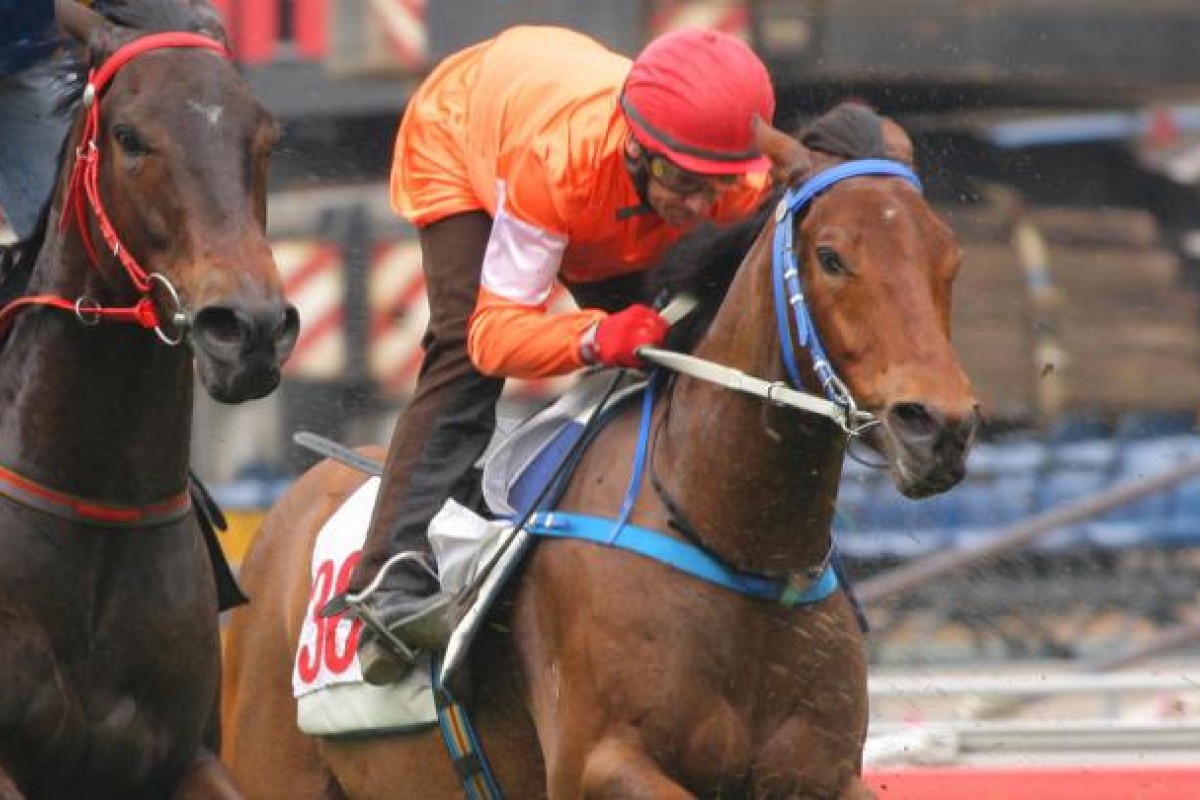 Marco Polo has finally drawn a barrier and should make a big impact for Triple Trio followers at Happy Valley on Sunday. Photo: Kenneth Chan