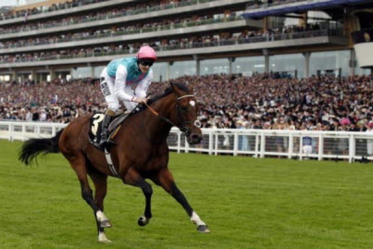 Tom Queally on Frankel. Photo: Reuters