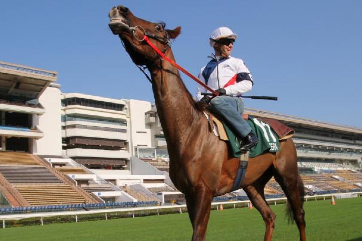 Hong Kong Vase candidate Pagera, with jockey Olivier Peslier, is full of beans under a rare blue sky at Sha Tin. Photo: Kenneth Chan