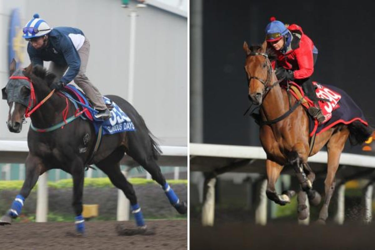 Glorious Days and his main rival Ambitious Dragon strut their stuff front of a big trackwork crowd at Sha Tin yesterday. They both look in mint condition for the Hong Kong Mile. Photos: Kenneth Chan