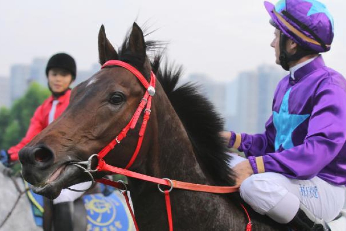 Happy Era's surprise Griffin Trophy defeat helped disguise the difficulties of staging age-group races. Photo: Kenneth Chan