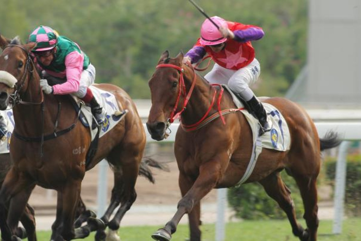 Glacier Blue caught the eye when second to Why Not two starts back and the progressive four-year-old should appreciate the 1,600m on Tuesday. Photo: Kenneth Chan