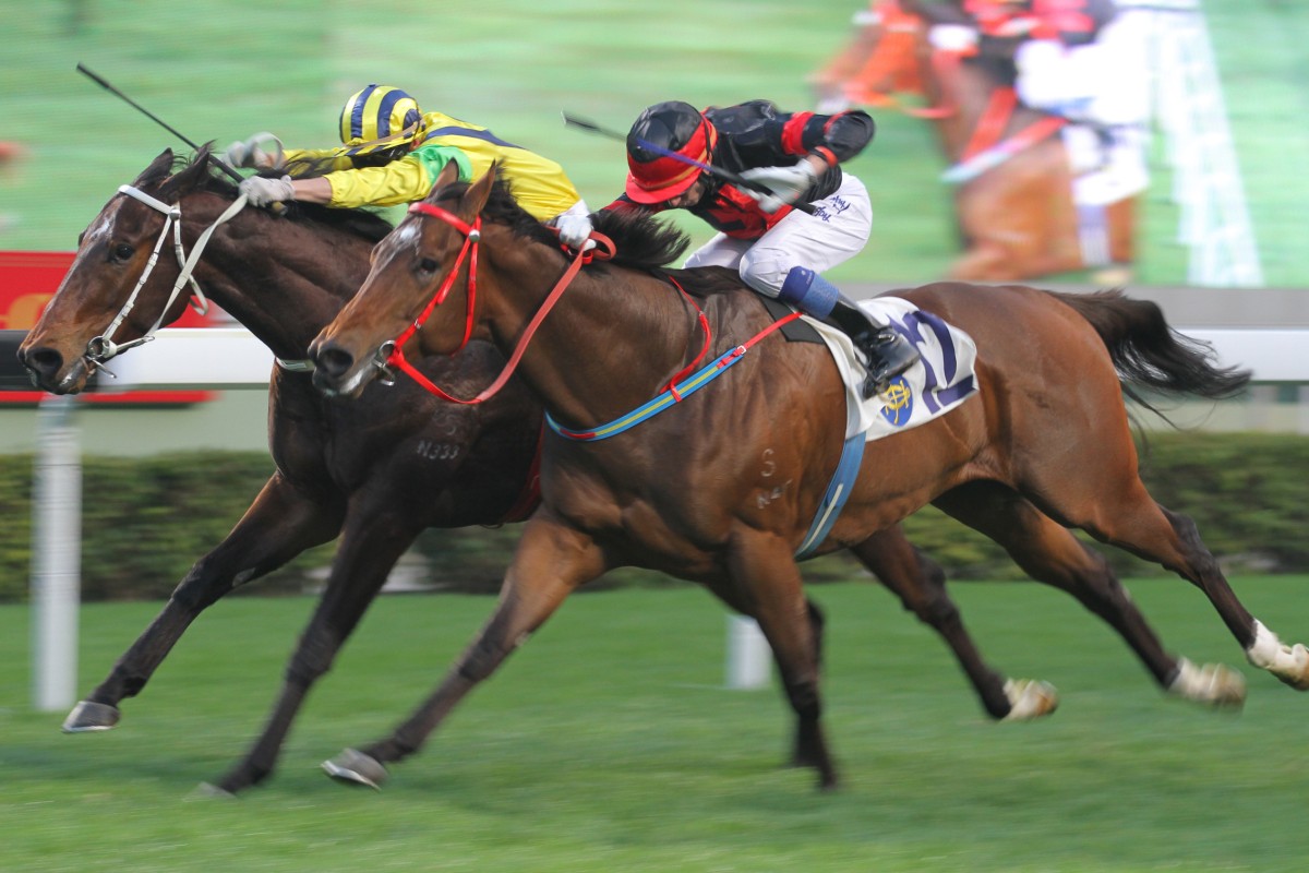 Douglas Whyte can count on Sea Dragon (outside) winning a few more races in his battle with Zac Purton. Photo: Kenneth Chan 