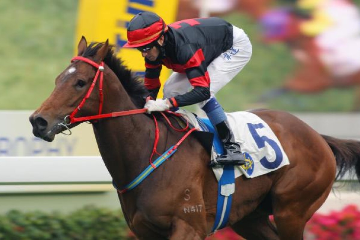 Sea Dragon won by a comfortable margin but had to work for it. Photo: Kenneth Chan