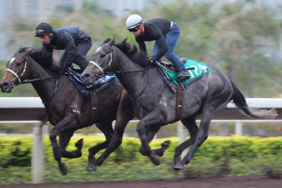Italian jockey Umberto Rispoli gives Derby hopeful Mizani (outside) a workout at Sha Tin yesterday. Photo: Kenneth Chan