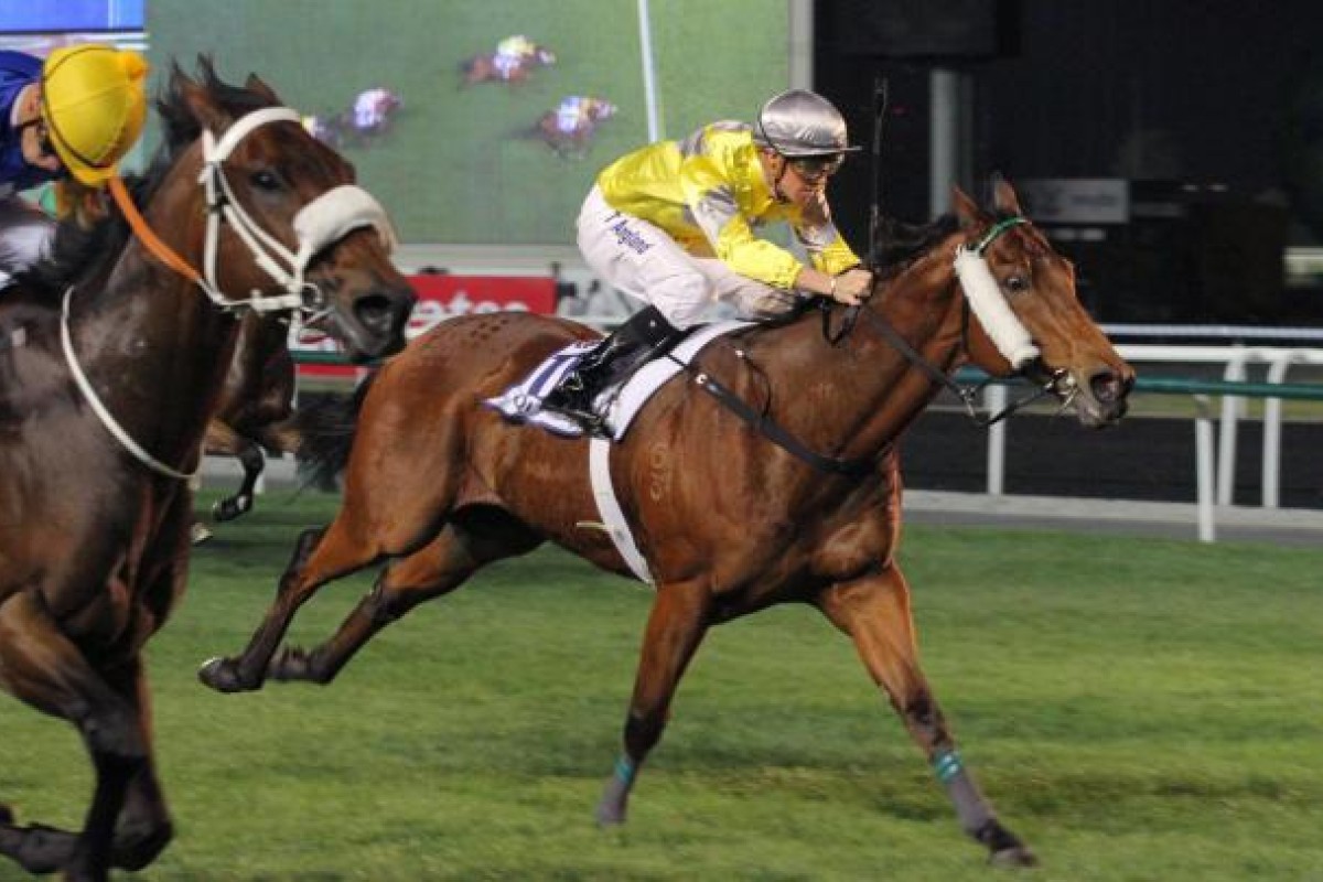 Joy And Fun, ridden by Tye Angland, is beaten home by Shea Shea, with Eagle Regiment (unseen) on the outside in third place in the Al Quoz Sprint. Photo: Kenneth Chan