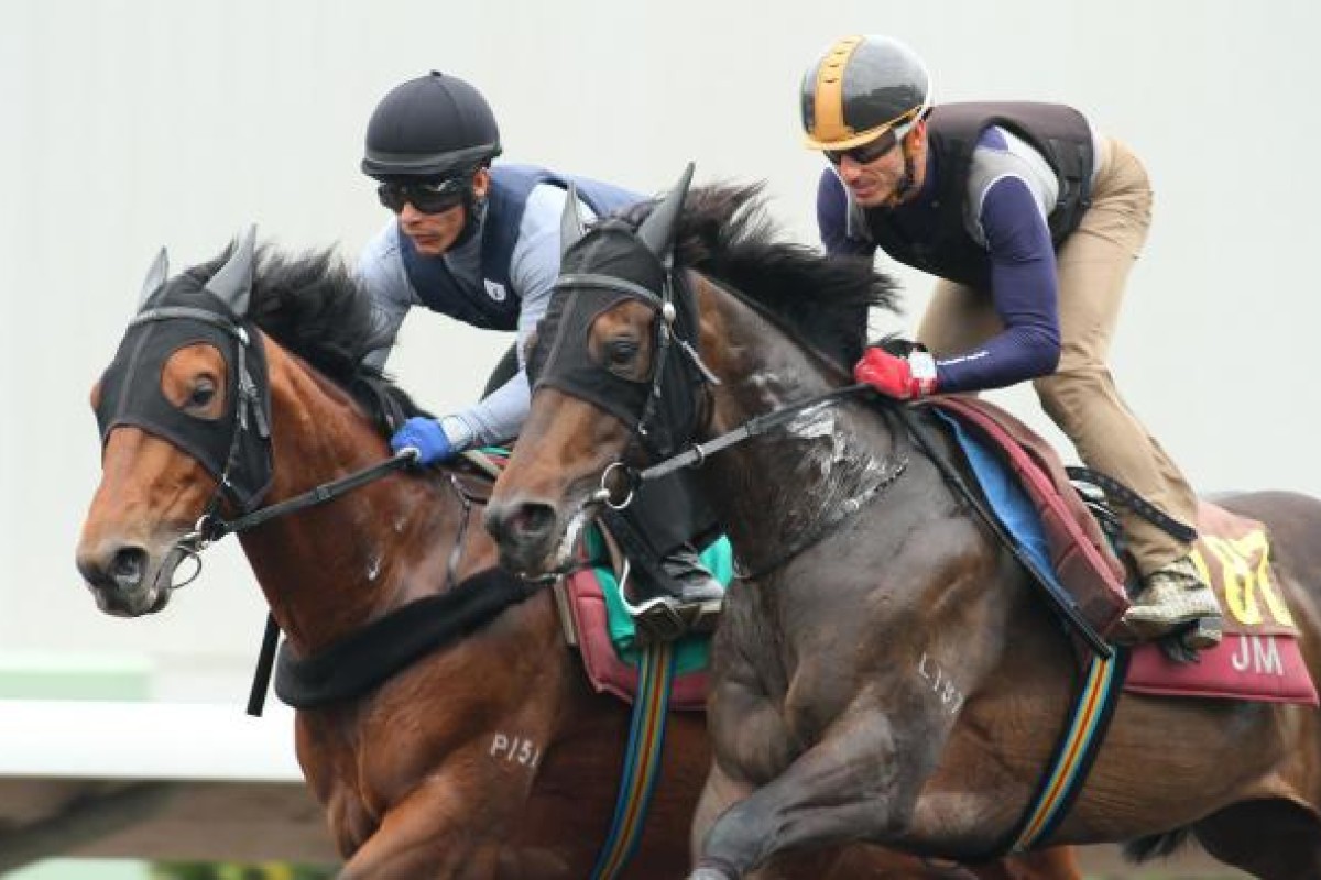 Two of John Moore's runners, Ashkiyr (left, ridden by Weichong Marwing) and Irian (Olivier Doleuze) are put through their paces at Sha Tin yesterday. Photo: Kenneth Chan
