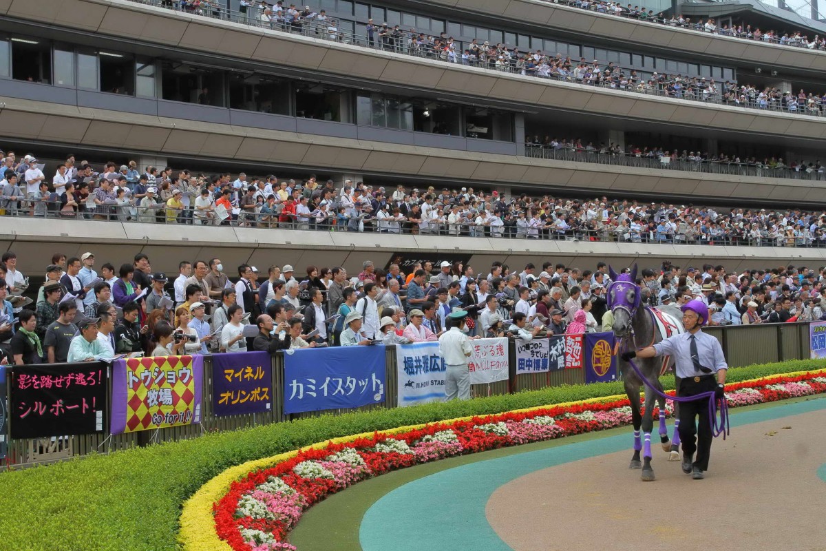 Brightly coloured hoods and banners are a feature of Japanese racing. 