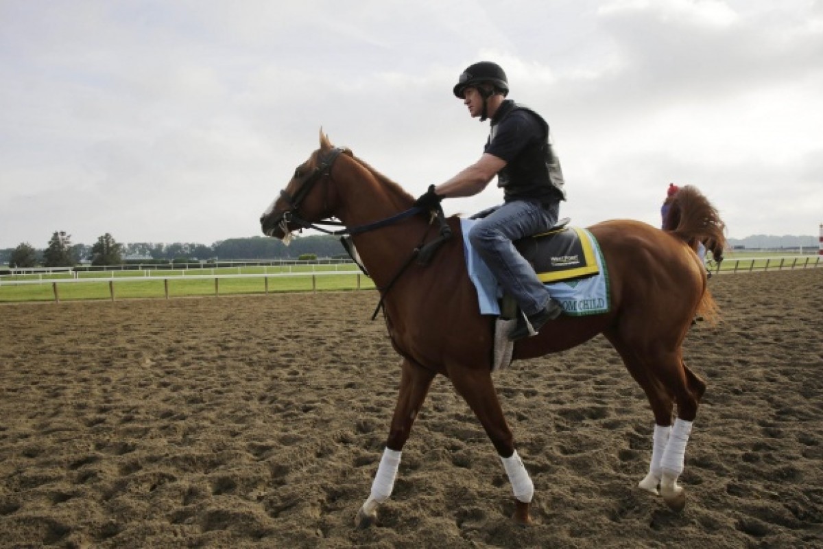 Freedom Child enters the track at Belmont Park for a morning workout, ahead of today's big race in New York. Photo: AP