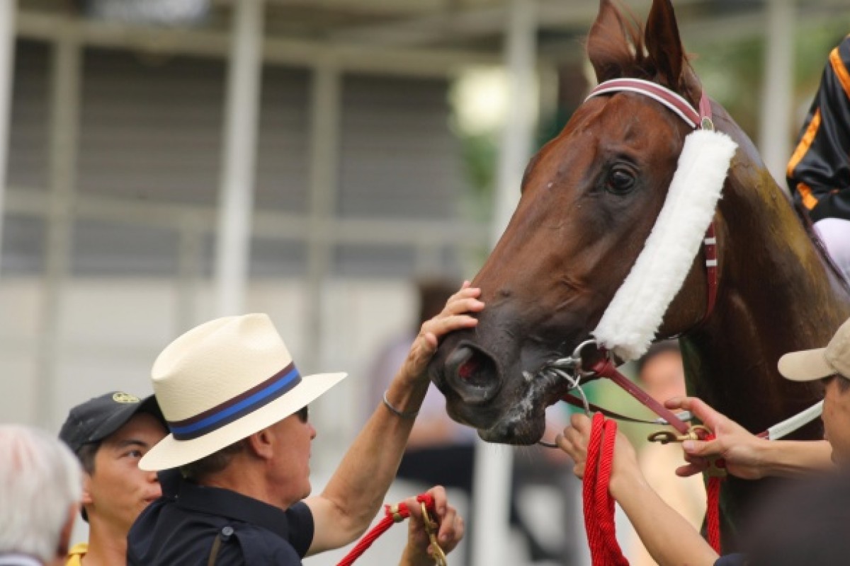John Moore admires Able Friend after the gelding's solid debut victory. Photo: Kenneth Chan