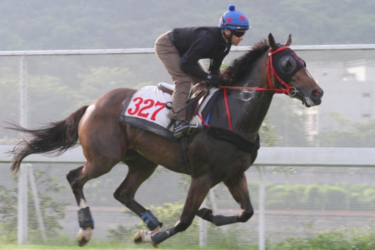 Plain Red Banner goes through his paces on the turf. He has the draw to take up a good position at his first attempt on the dirt.