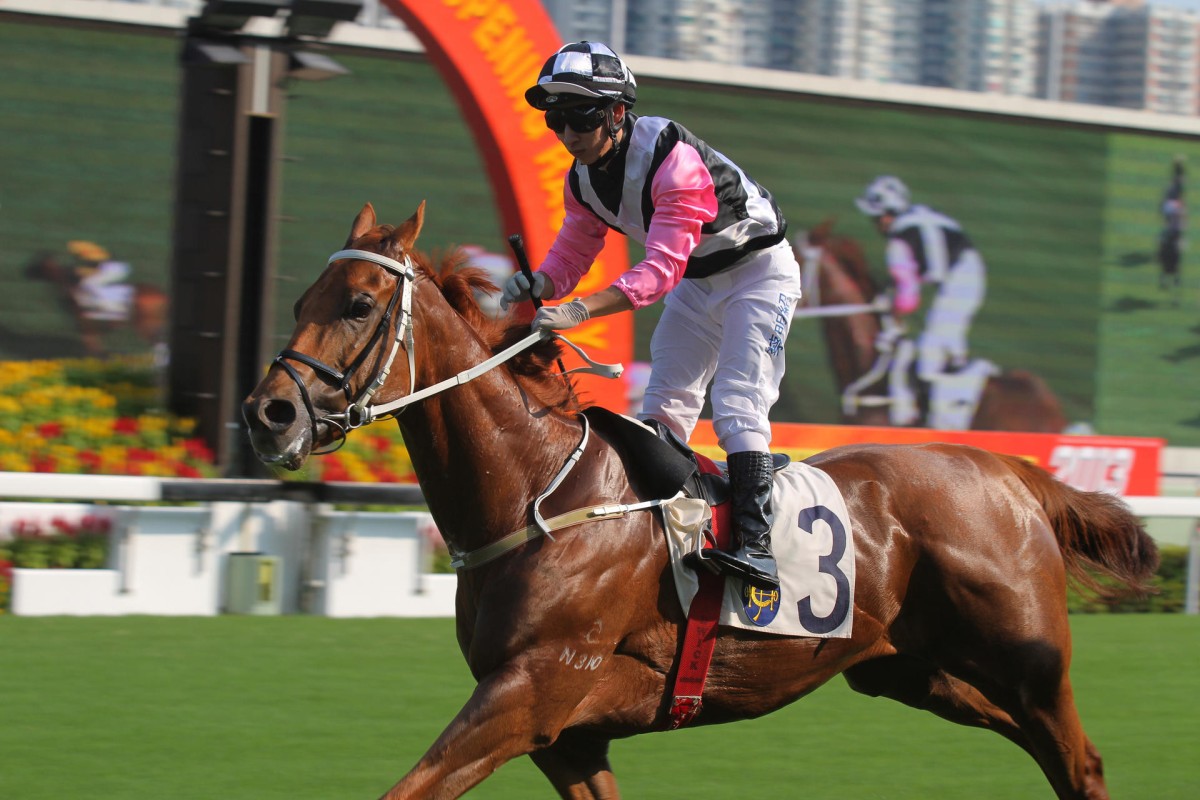Matthew Chadwick eases down odds-on favourite Beauty Sparkle after winning race seven that completed a training treble for Tony Cruz at Sha Tin yesterday. Photo: Kenneth Chan