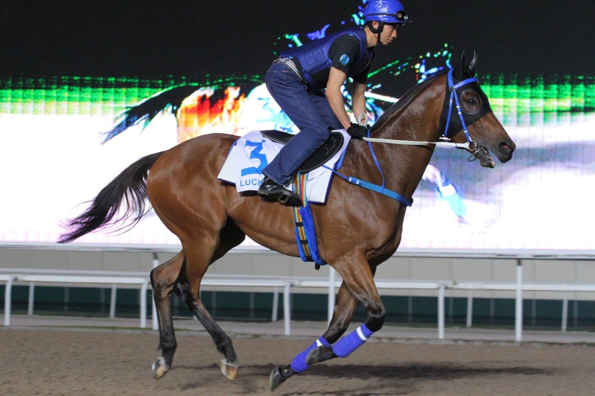 Lucky Nine will kick his heels in Hong Kong for a few more days because of Typhoon Usagi. Photo: Kenneth Chan