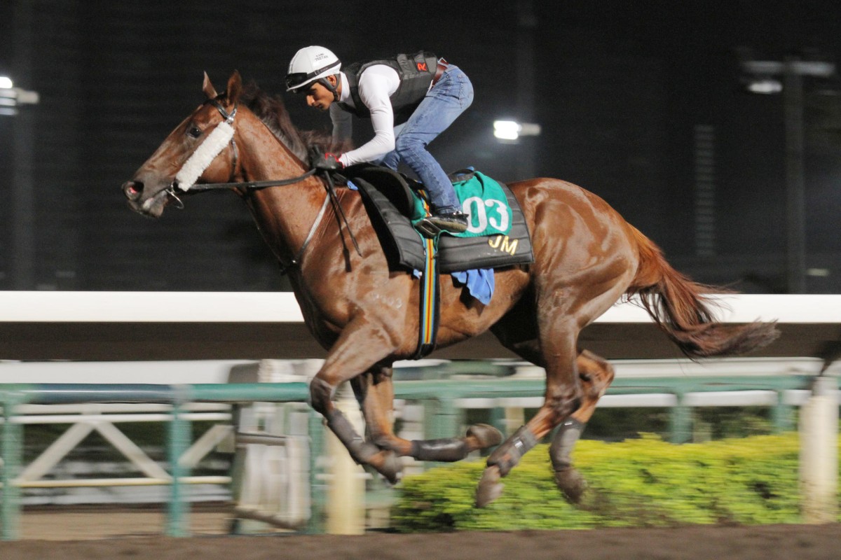 Trainer John Moore was questioned on Able Friend's run into third place from an outside gate on Sunday. Photo: Kenneth Chan