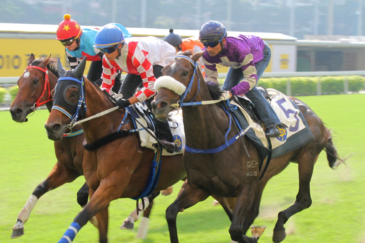 Lucky Nine is a clear favourite for the VRC Sprint Classic at Flemington. Photo: Kenneth Chan