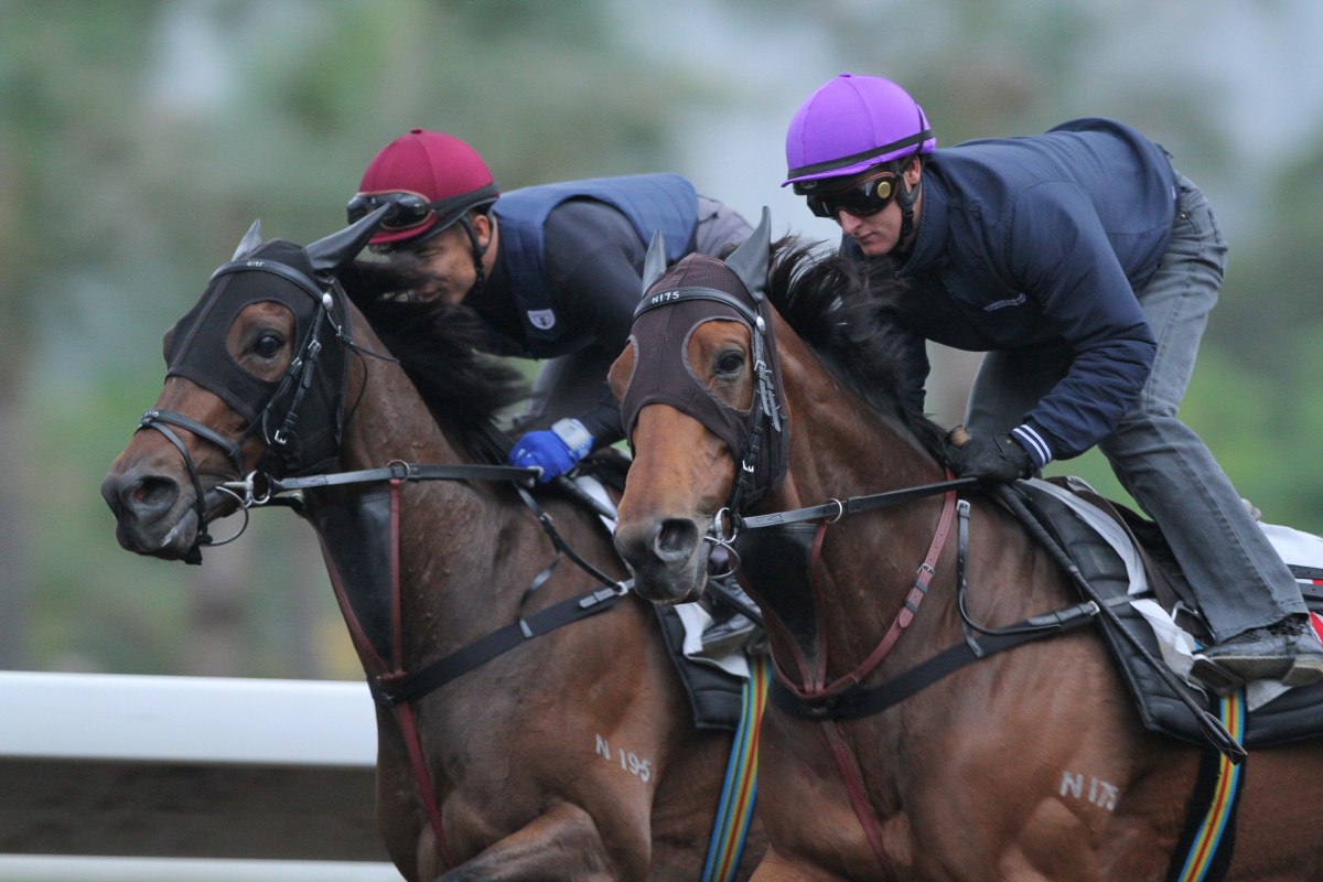 Military Attack (right) gets a workout at Sha Tin. Photo: Kenneth Chan