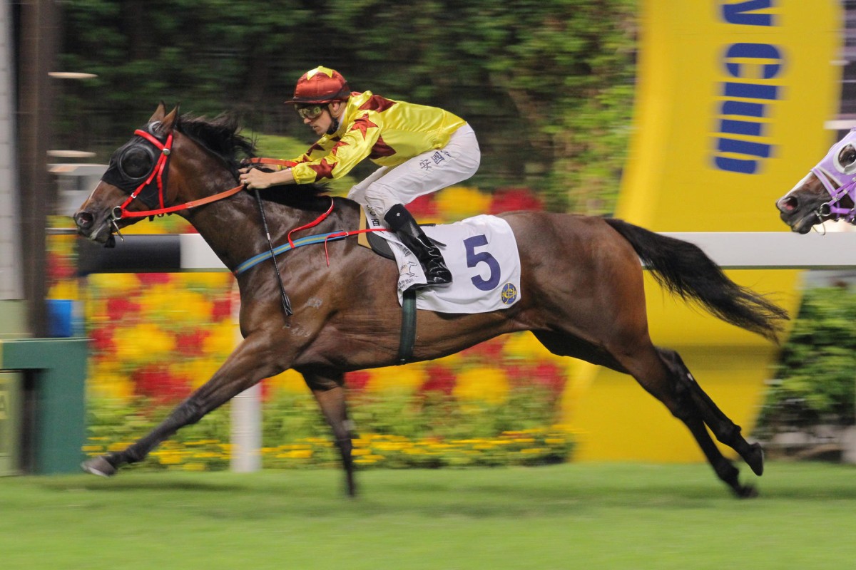 Sichuan Charm wins in early October. He can win again from his good draw on the tricky "C+3" course. Photo: Kenneth Chan