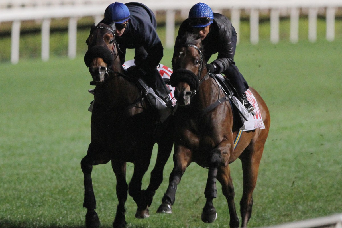 Dan Excel (outside) shades Military Attack in their gallop. Photo: Kenneth Chan