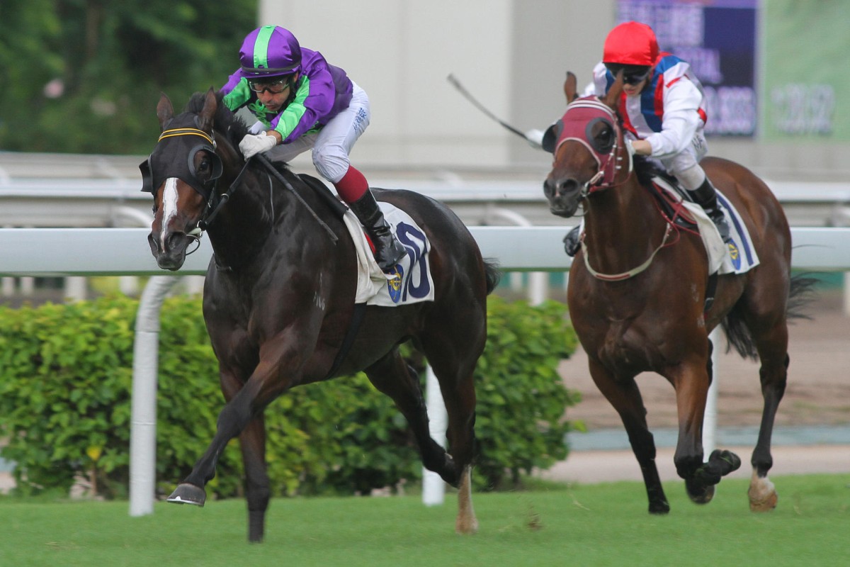 Boy Oh Boy smashes his rivals over 1,400m in a Class Four victory in July. He has disappointed since but gets his chance to come out on top today with a hood applied. Photo: Kenneth Chan