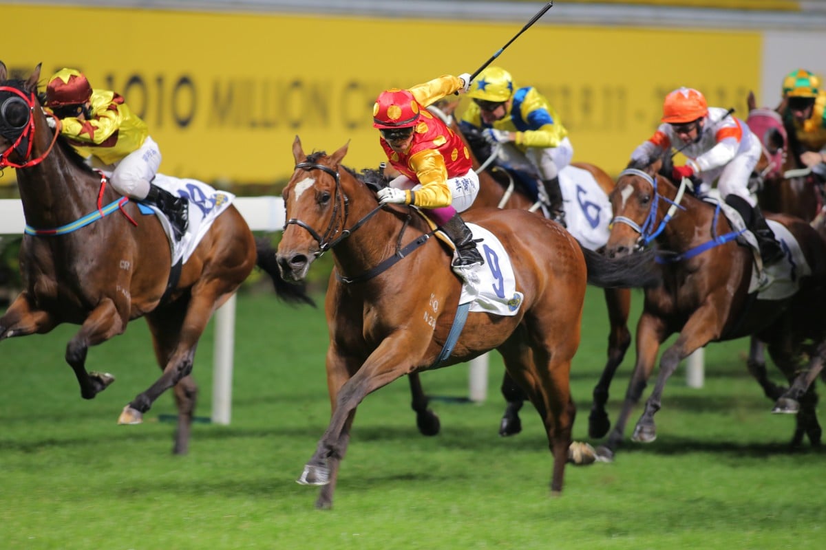 Golden Harvest has made the step into Class One for the first time, but can continue his winning ways. Photo: Kenneth Chan